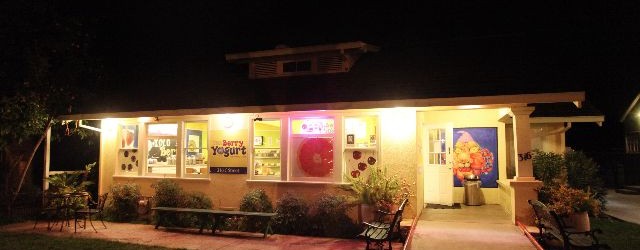 Best Frozen Dessert