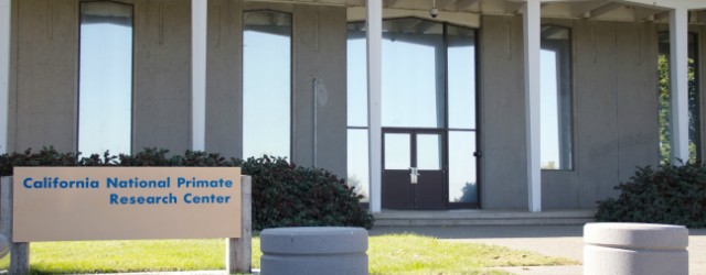 Primate research center appeals citation of maltreatment of monkeys