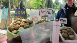 News in Brief—Farmers market moves to Quad