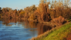 Sacramento Area Flood Control Agency to propose making levee improvement