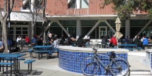 How has Davis helped us grow?