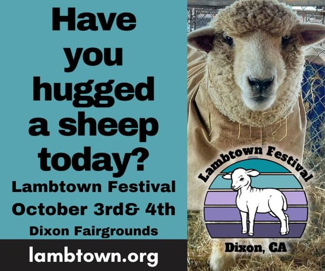 Lambtown festival 2026