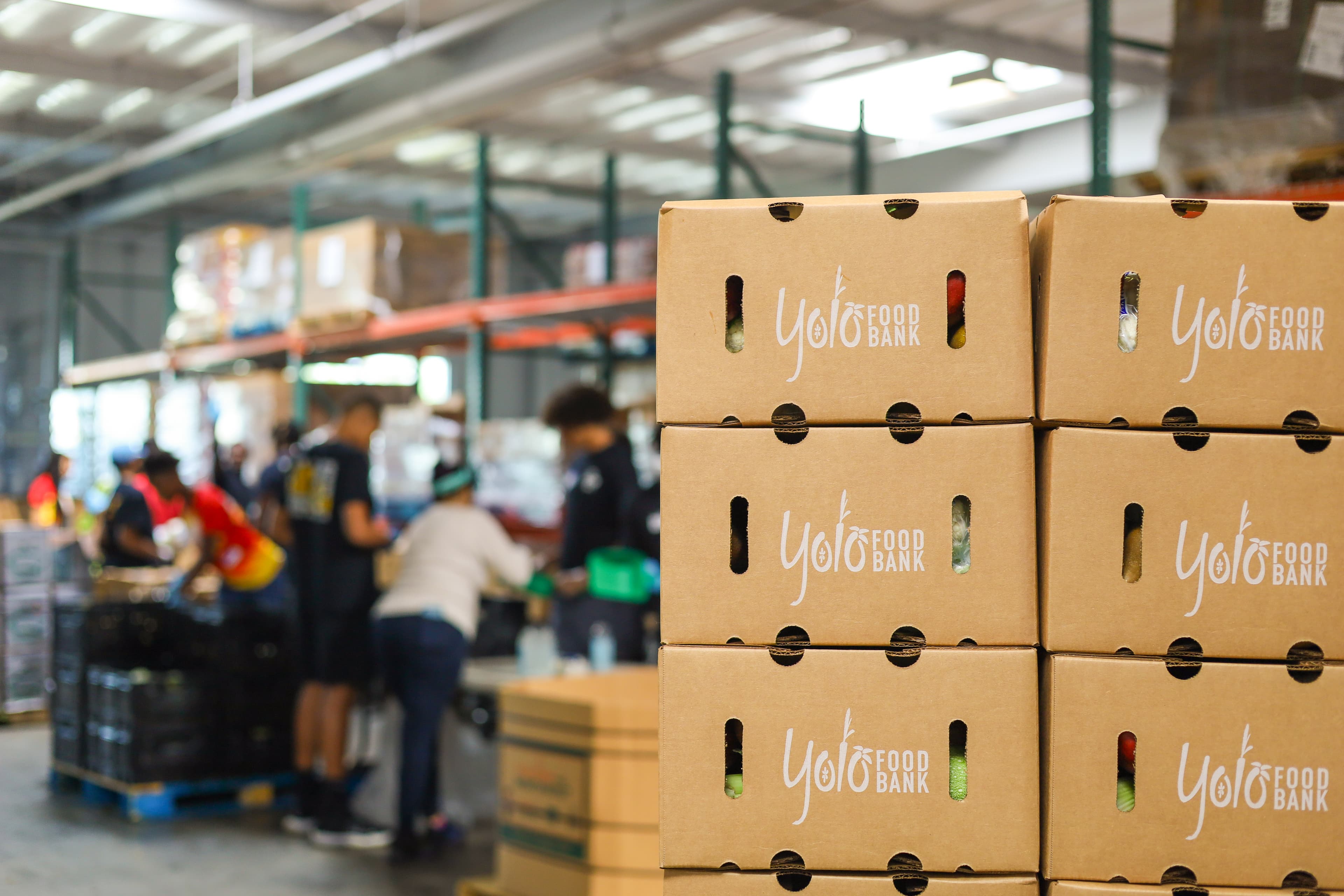 Boxes of food at Yolo Food Bank. (Aggie File)