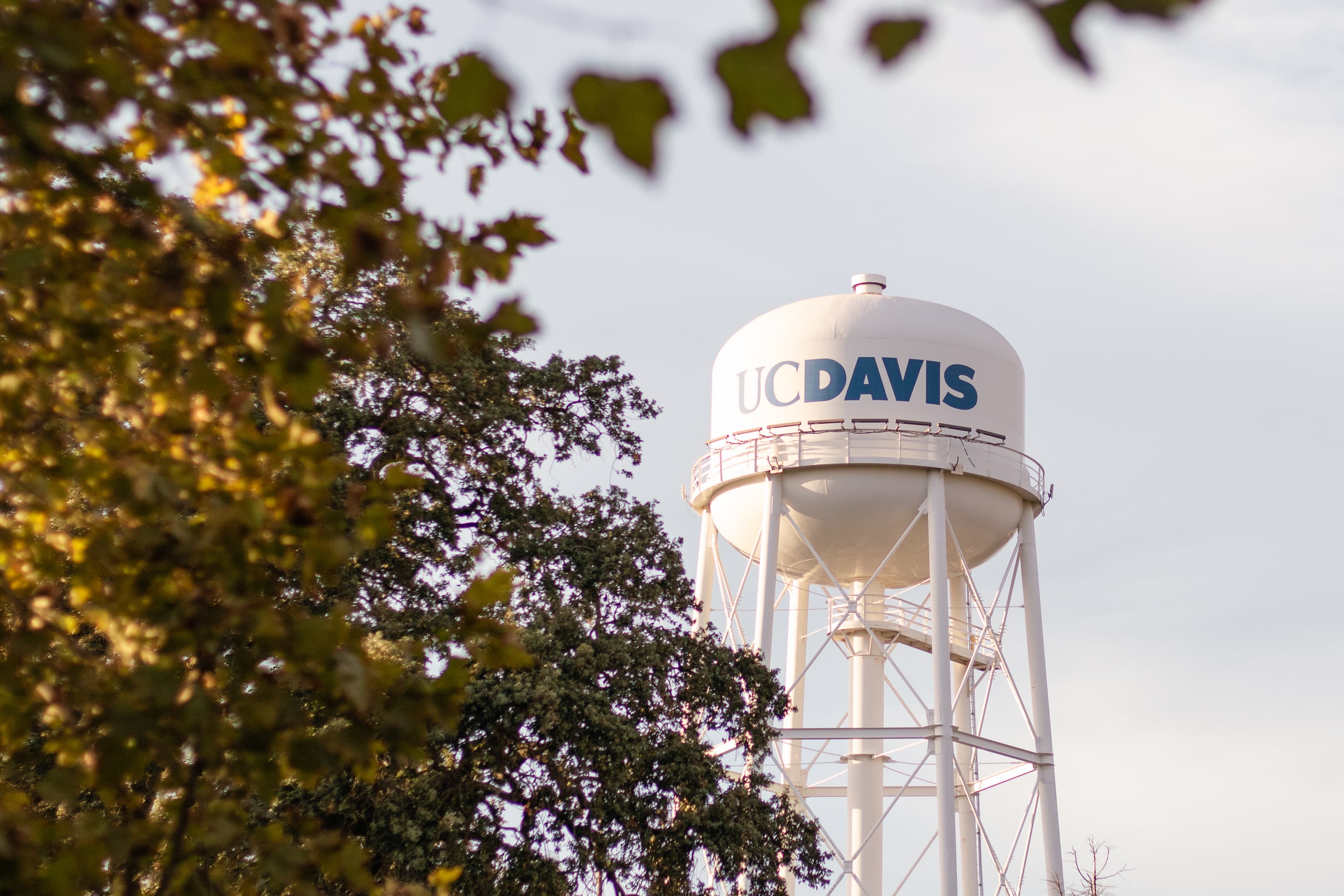 A UC Davis water tower stands near the Arboretum on Friday, Oct. 2. UC Davis is currently ranked eighth nationally among public universities in the United States, according to U.S. News & World Report. (Jenna Lee / Aggie)